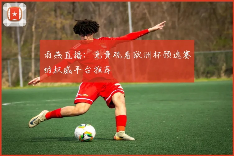 雨燕直播：免费观看欧洲杯预选赛的权威平台推荐