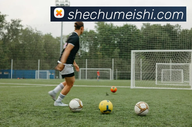 emc易倍官网入口平台生态图